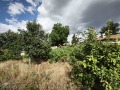 Продава КЪЩА, с. Бошуля, област Пазарджик, снимка 2
