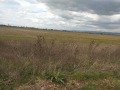 Продава ПАРЦЕЛ, гр. София, с. Кривина, снимка 1