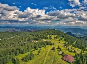 ������� ������ | Imot.bg � ����� ������ 7