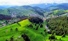 ����� ������� ������,�. ��������, ������ ������