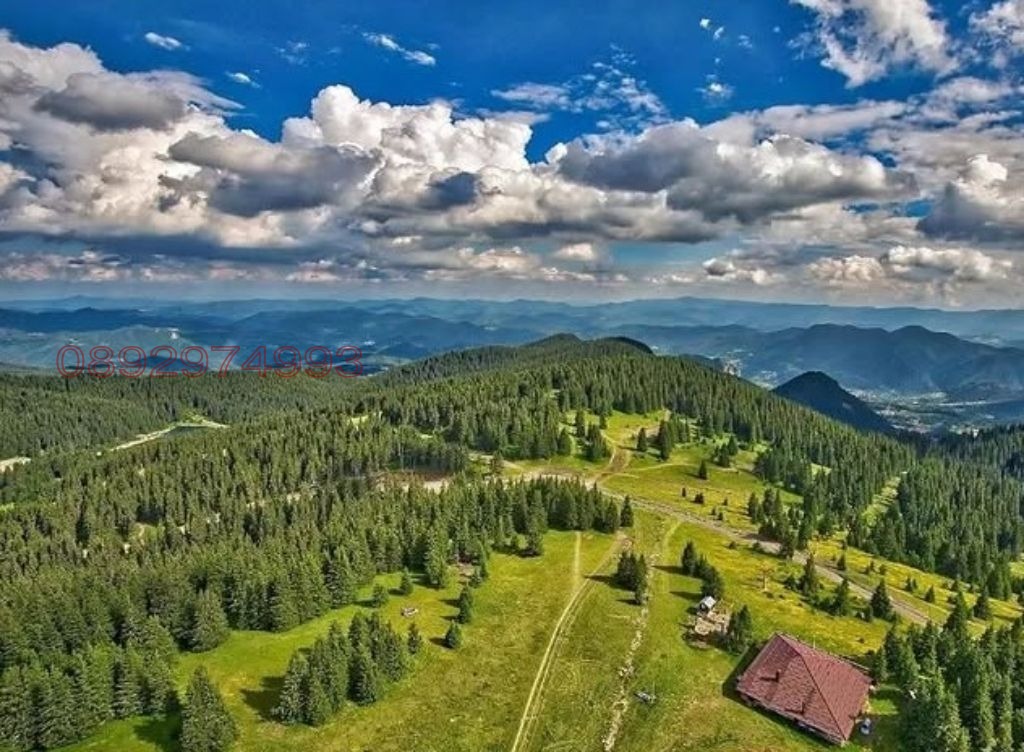 Продава ПАРЦЕЛ, с. Стойките, област Смолян, снимка 7 - Парцели - 53763051