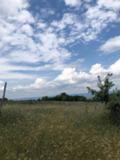Продава ЗЕМЕДЕЛСКА ЗЕМЯ, с. Здравец, област Варна, снимка 1