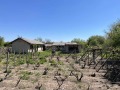 Продава ЗЕМЕДЕЛСКА ЗЕМЯ, с. Люляково, област Добрич, снимка 1