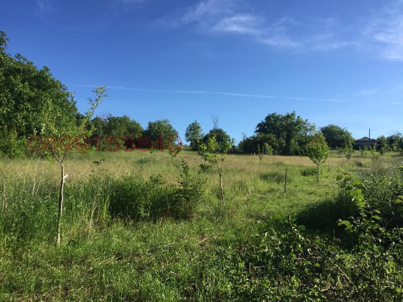 ������� ������ | Imot.bg � ����������� 2