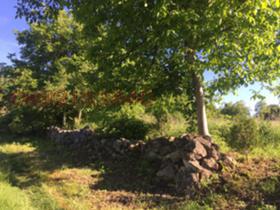 ����� ������� ������,�. ������, ������ �����