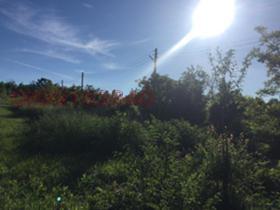 ������� ������ | Imot.bg � ����� ������ 3