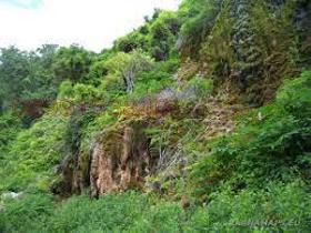 Продава ПАРЦЕЛ, с. Неново, област Варна, снимка 5