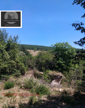 ������� ������ | Imot.bg � ����� ������ 4