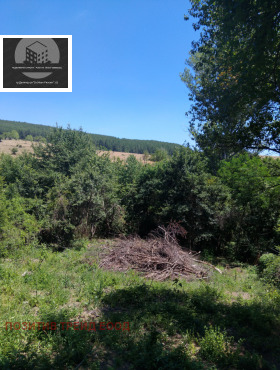 ������� ������ | Imot.bg � ����� ������ 2