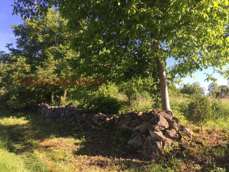 Продава ПАРЦЕЛ, с. Неново, област Варна