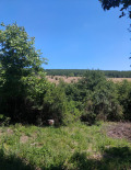 Продава ПАРЦЕЛ, с. Долна Диканя, област Перник, снимка 3