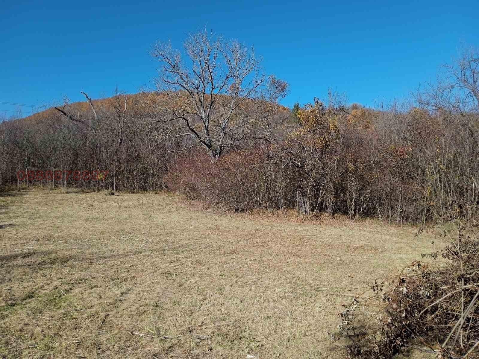 ������� ������ | Imot.bg � ����������� 10