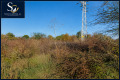 Продава  Парцел област Бургас , с. Равда , 12005 кв.м | 98902929 - изображение [11]