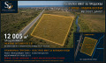 Продава  Парцел област Бургас , с. Равда , 12005 кв.м | 98902929 - изображение [4]