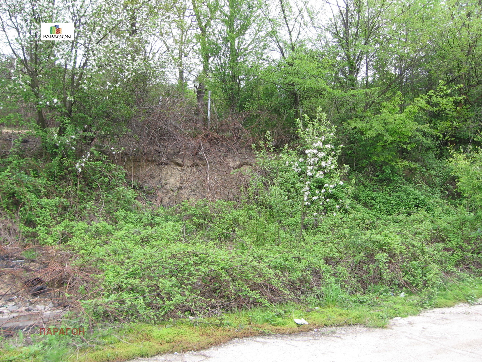 ������� ������ | Imot.bg � ����������� 7