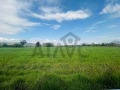 Продава ПАРЦЕЛ, област Пловдив, с. Марково • 32000 € / 62586.56 лв. • 37686635 1