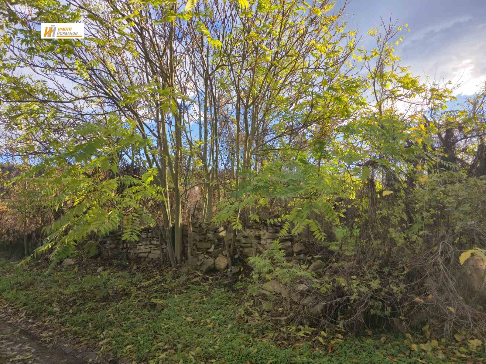 ������� ���� | Imot.bg � ����������� 14