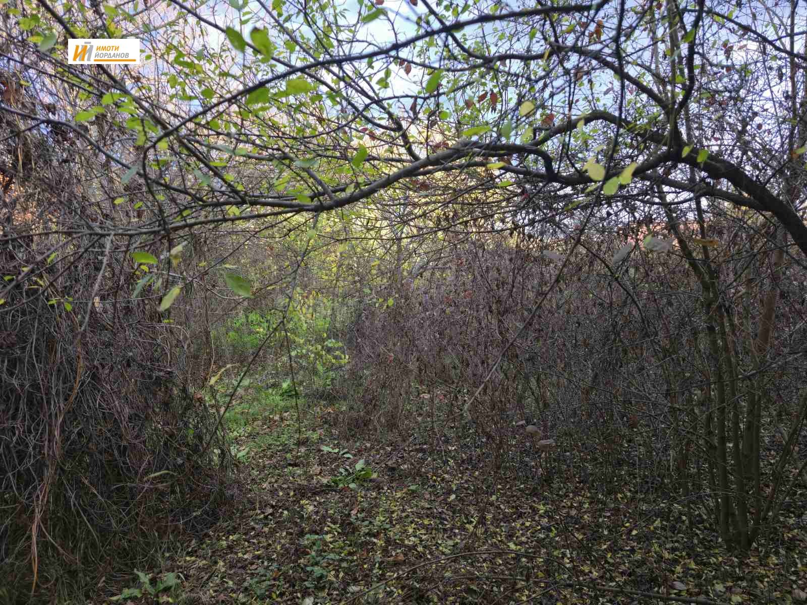 ������� ���� | Imot.bg � ����������� 11