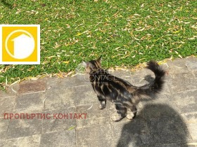 1- | Imot.bg    13