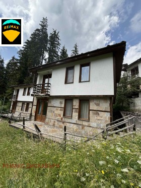 Hus Progled, region Smolyan 1