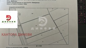 ����� ������� ������,���� ����� ������, ����� ������