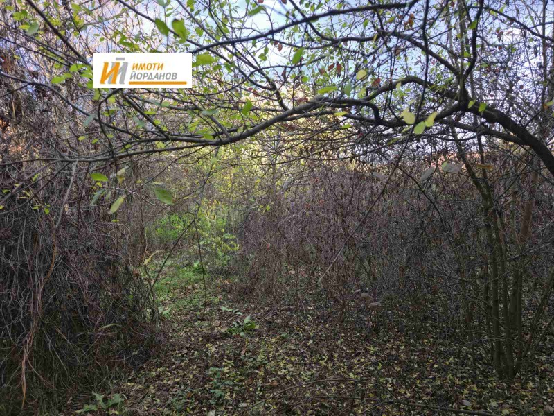 Продава КЪЩА, с. Мерданя, област Велико Търново, снимка 10 - Къщи - 52488833