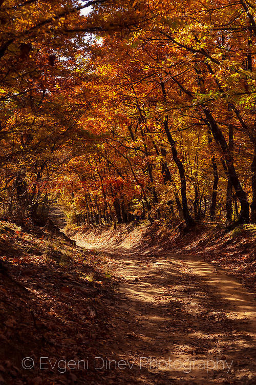 Продава ЗЕМЕДЕЛСКА ЗЕМЯ, гр. Земен, област Перник