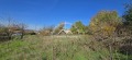 Продава ПАРЦЕЛ, с. Петров дол, област Варна, снимка 2