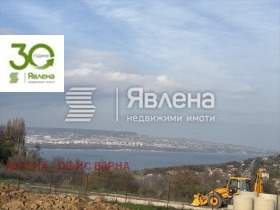 ����� ������� ����,���� �����, ����������