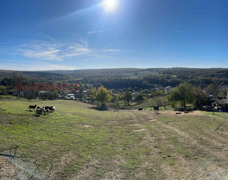 For Sale  Plot Varna , Konstantinovo , 1125 sq.m | 68958898 - image [6]