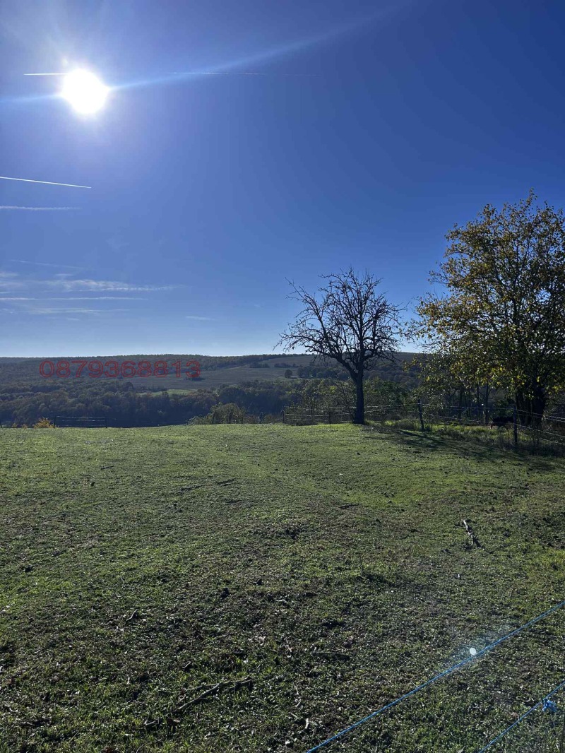 For Sale  Plot Varna , Konstantinovo , 1125 sq.m | 68958898 - image [8]