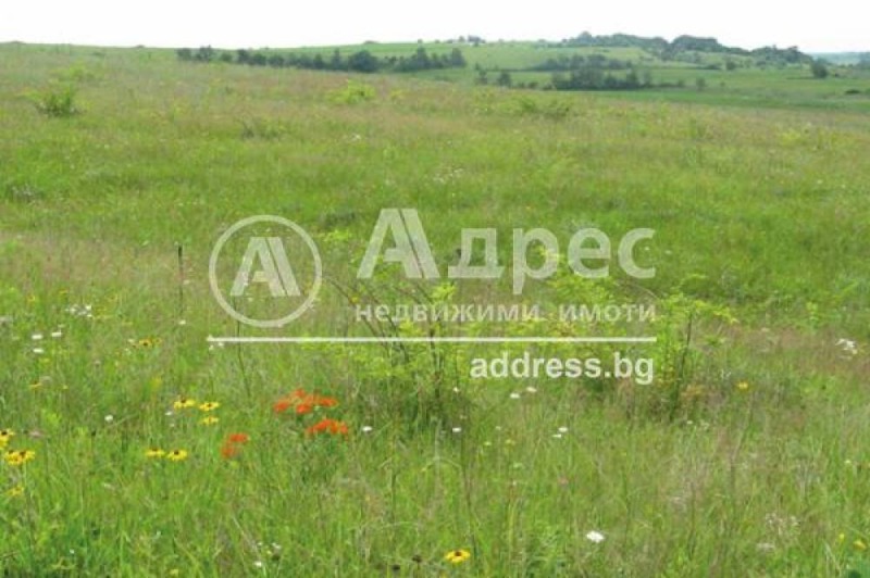 Продава ПАРЦЕЛ, с. Кокаляне, област София-град, снимка 1 - Парцели - 49135598