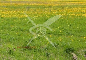 ПАРЦЕЛ, 10 000 m2