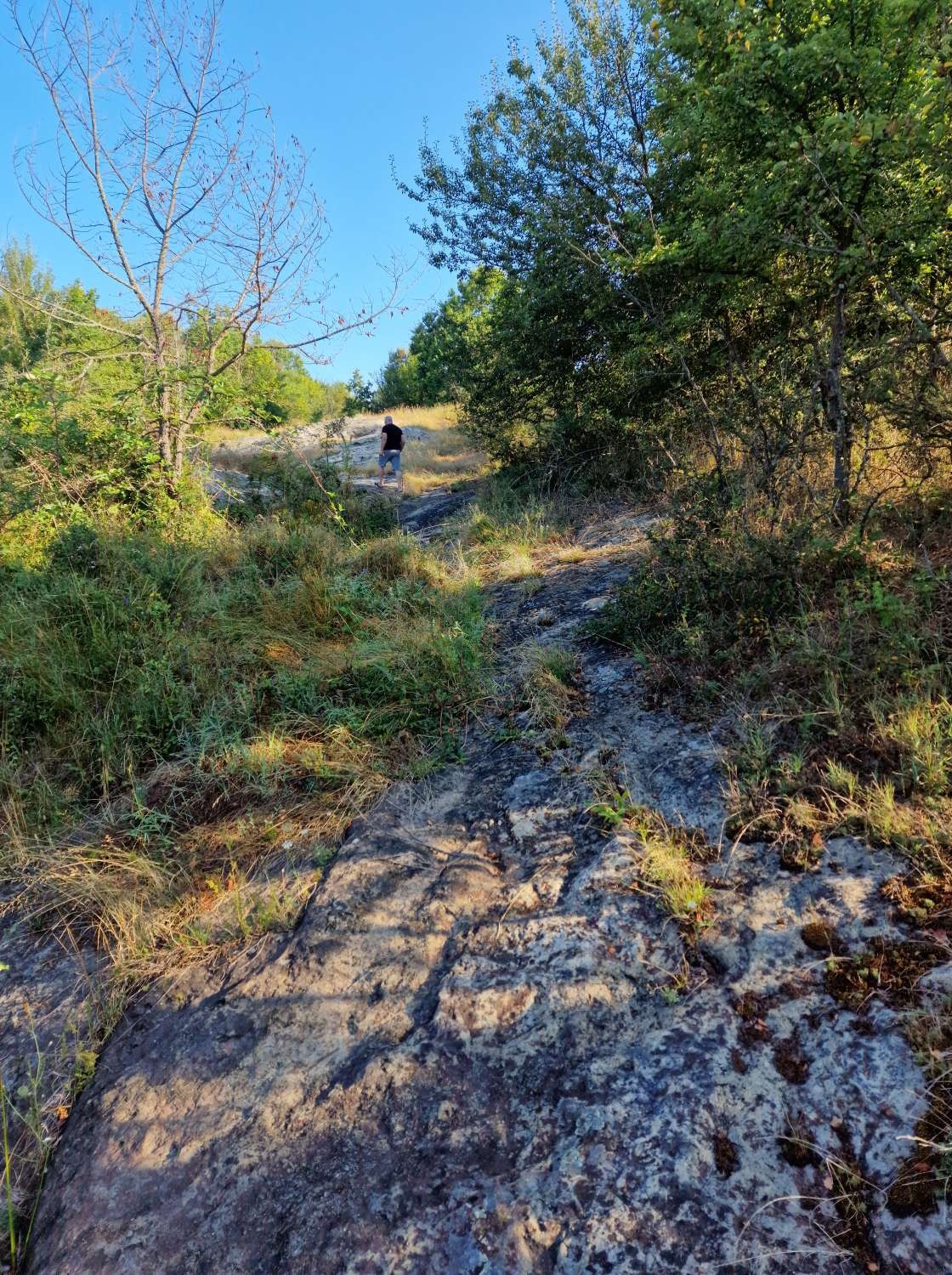 ������� ������ | Imot.bg � ����������� 17