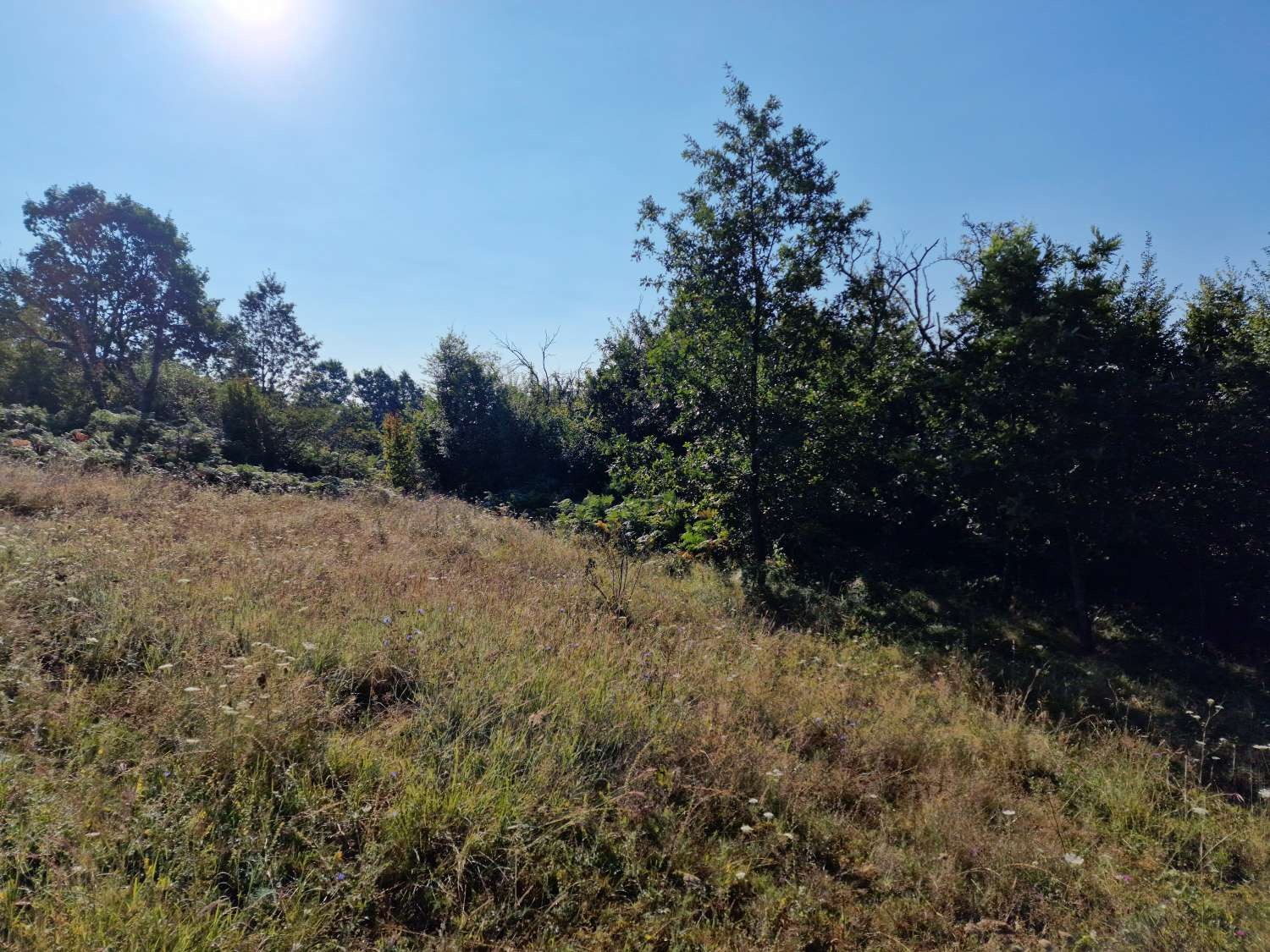 ������� ������ | Imot.bg � ����������� 13