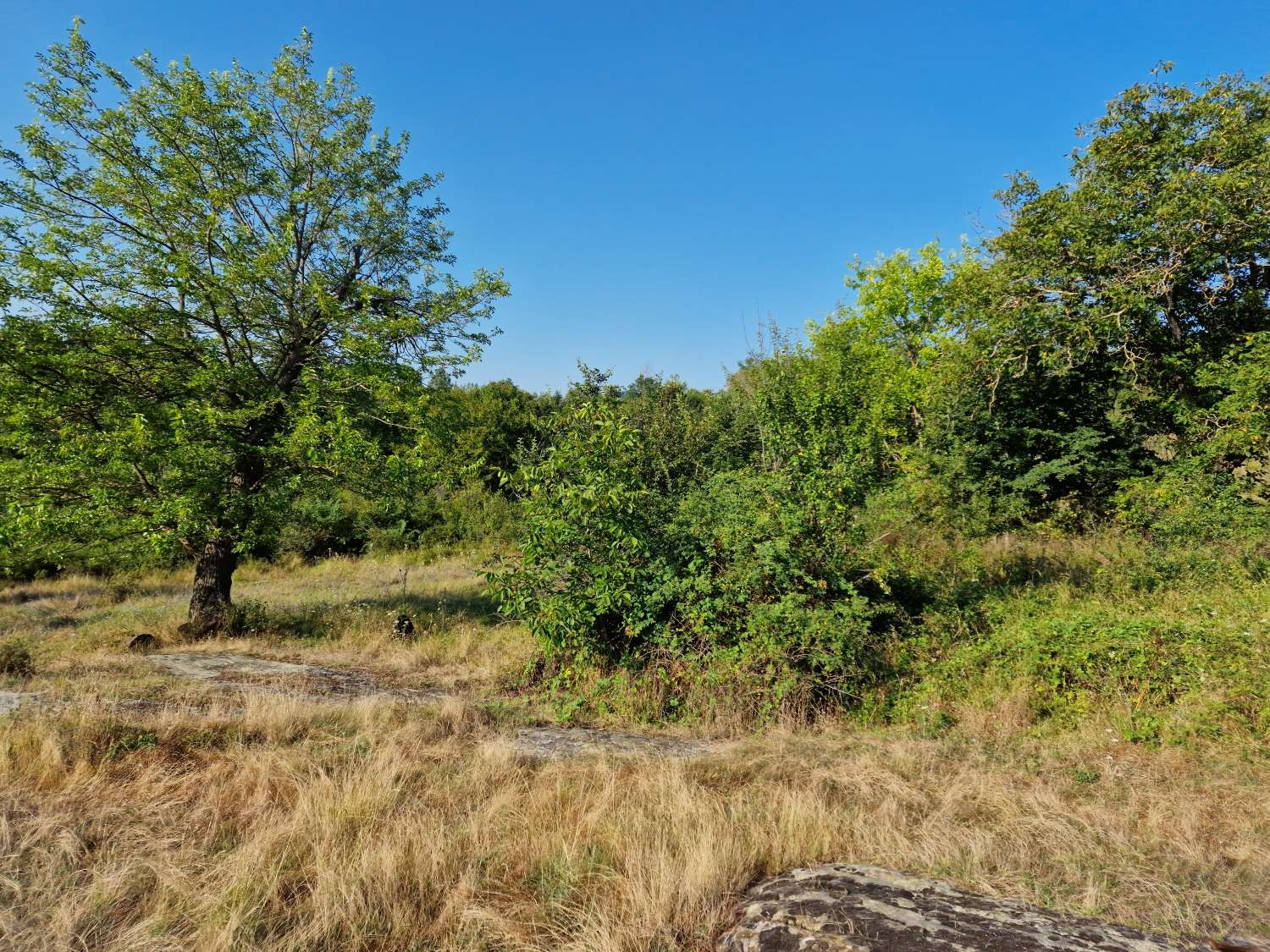 ������� ������ | Imot.bg � ����������� 10