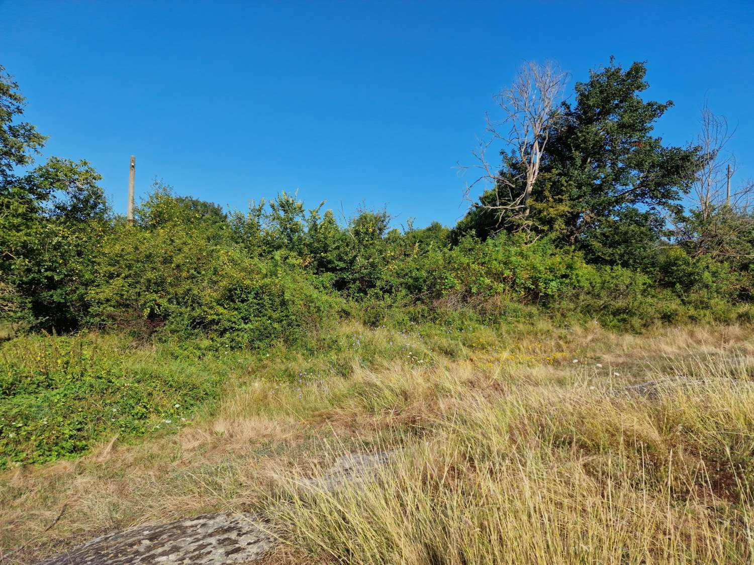 ������� ������ | Imot.bg � ����������� 14