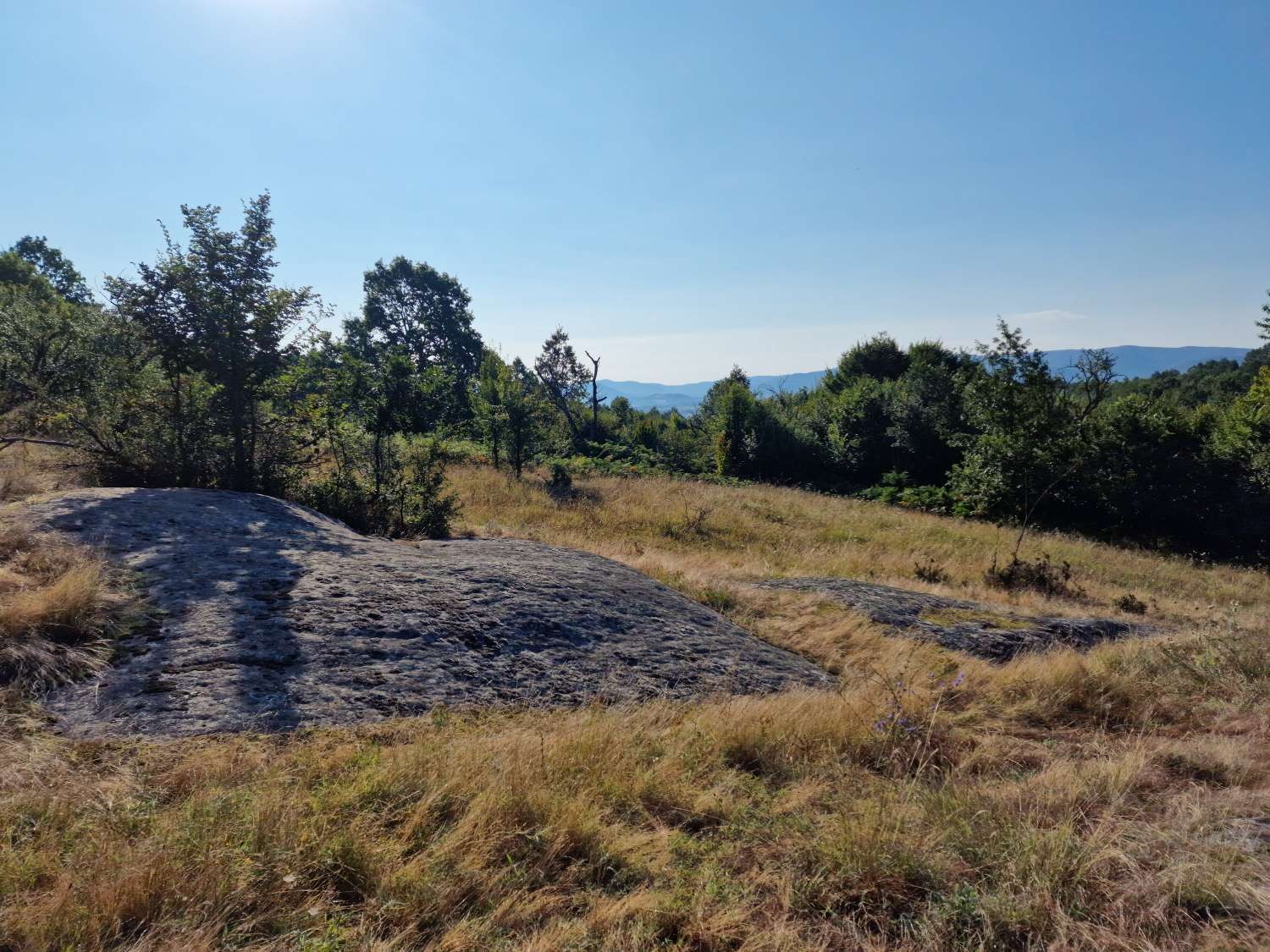 ������� ������ | Imot.bg � ����������� 8