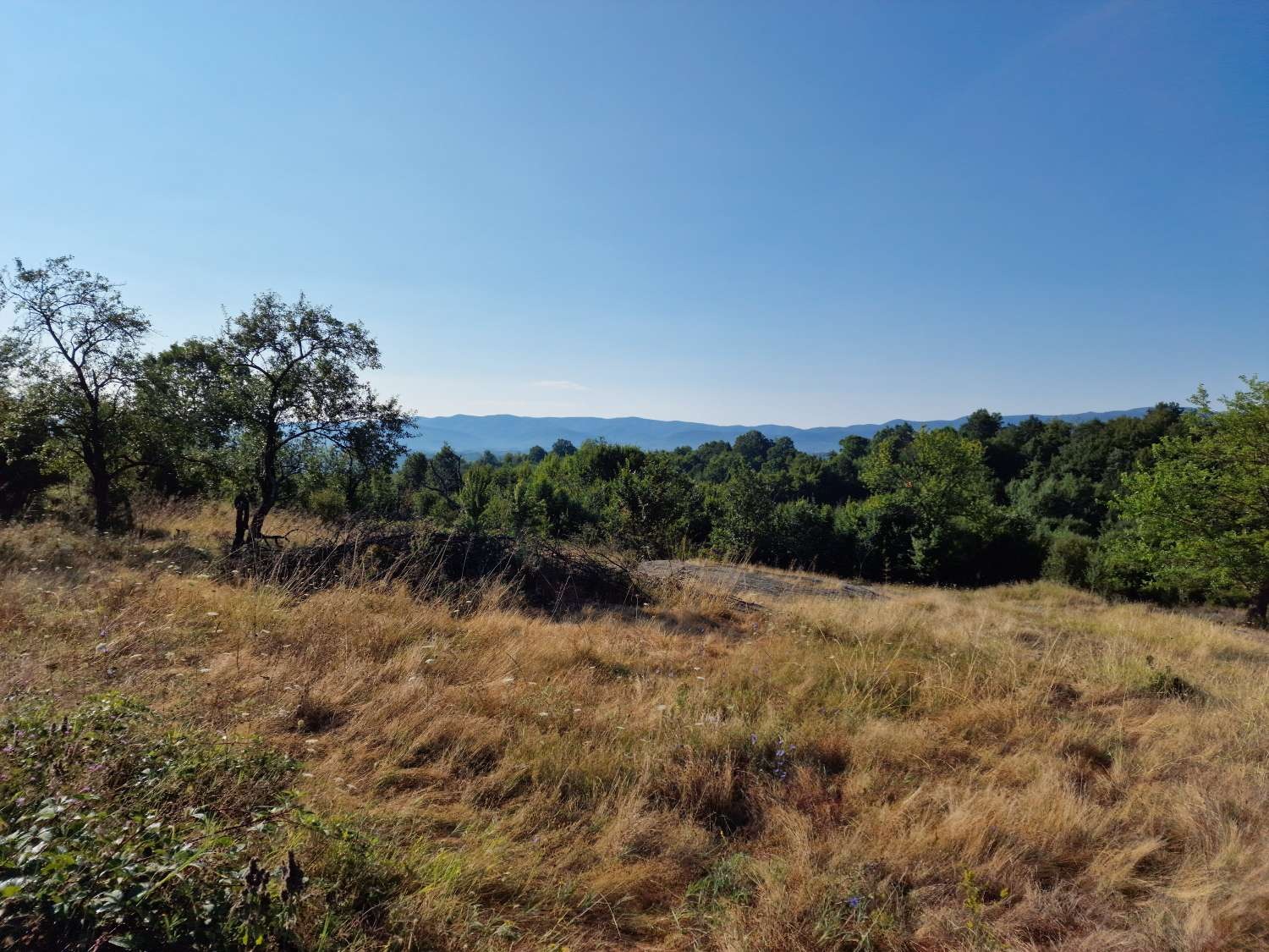 ������� ������ | Imot.bg � ����������� 9