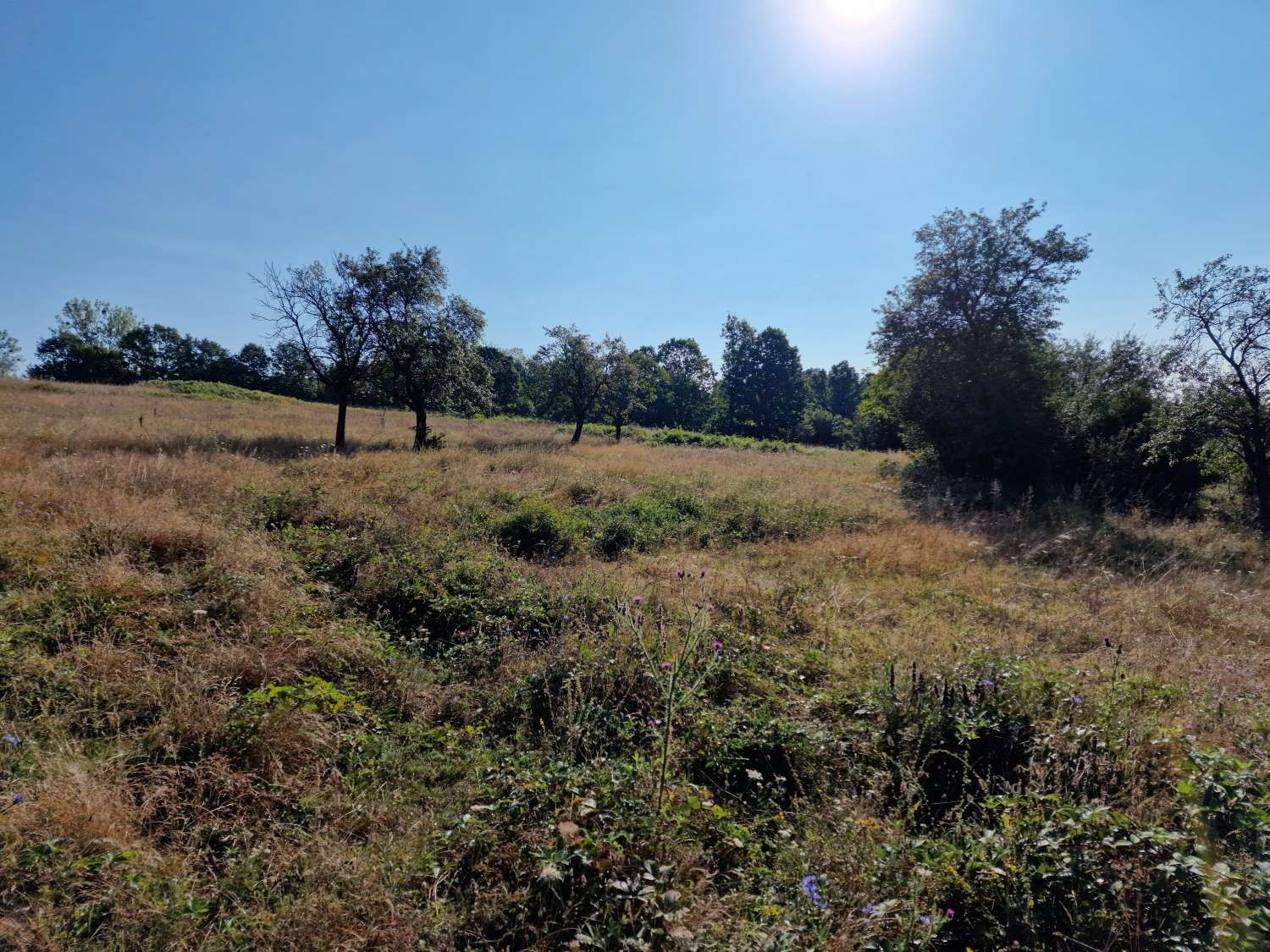 ������� ������ | Imot.bg � ����������� 7