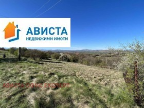 ����� ������� ������,��. ����������, ������ �����