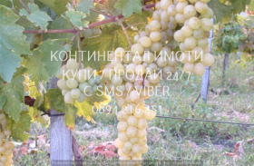    | Imot.bg    2