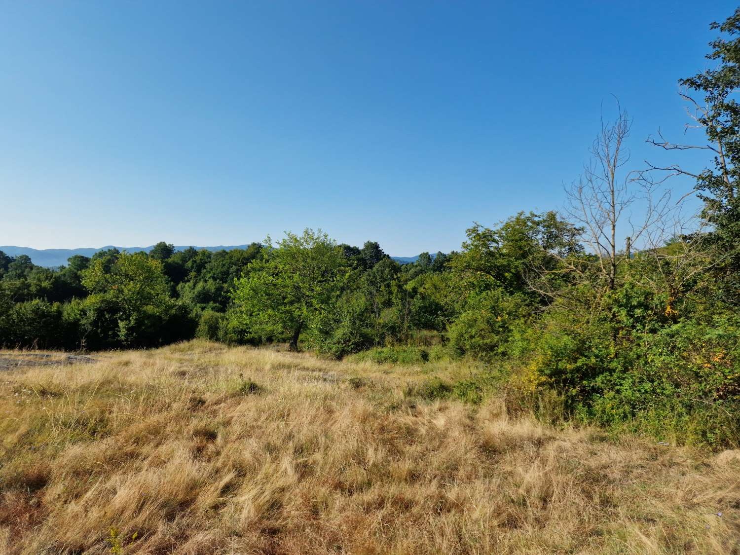 Продава ПАРЦЕЛ, гр. Елена, област Велико Търново, снимка 10 - Парцели - 53796756