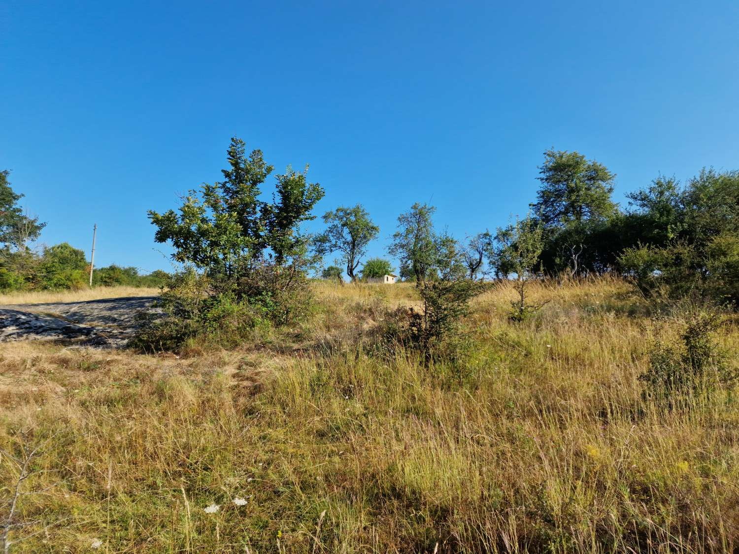 Продава ПАРЦЕЛ, гр. Елена, област Велико Търново, снимка 11 - Парцели - 53796756