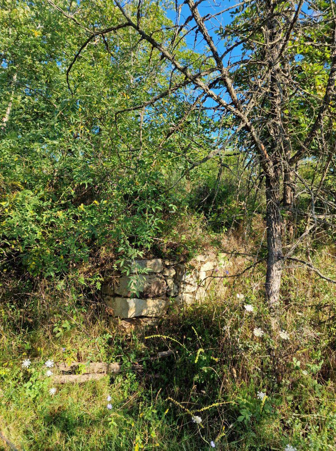 Продава ПАРЦЕЛ, гр. Елена, област Велико Търново, снимка 15 - Парцели - 53796756