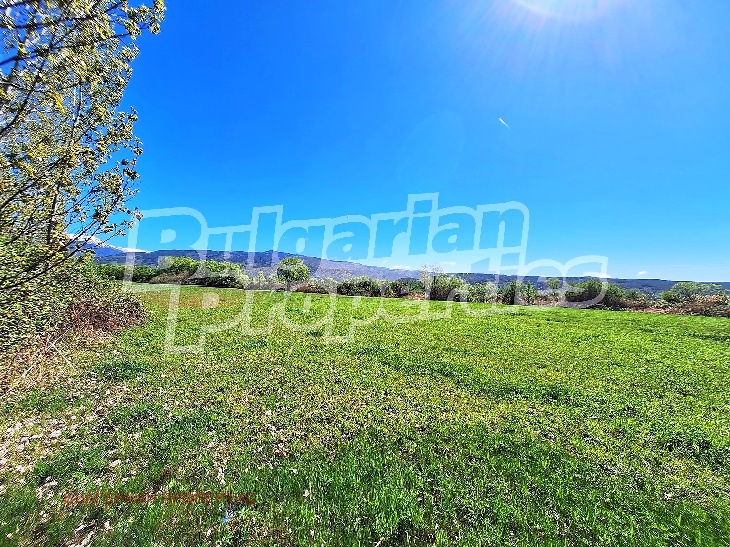 ������� ������ | Imot.bg � ����������� 5