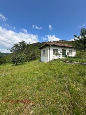 Hus Srebrinovo, region Pazardzhik