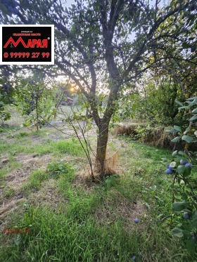 ������� ���� | Imot.bg � ����� ������ 17