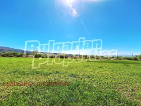 ������ ������� ������