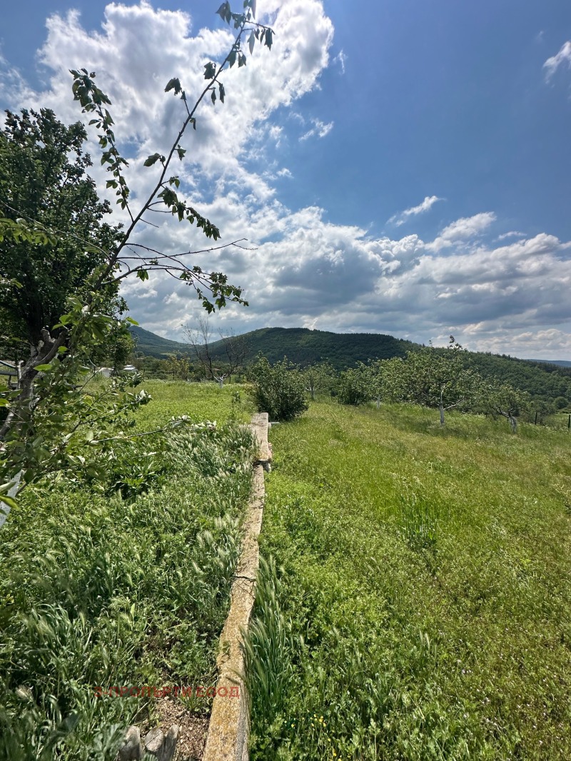 Til salgs  Hus region Pazardzhik , Srebrinovo , 41 kvm | 46149437 - bilde [10]